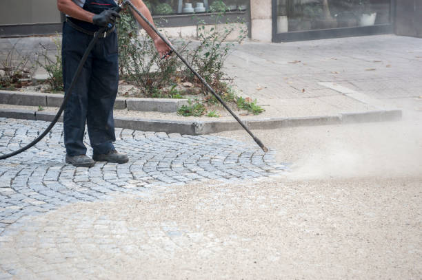 Best House Exterior Washing  in Marianne, PA